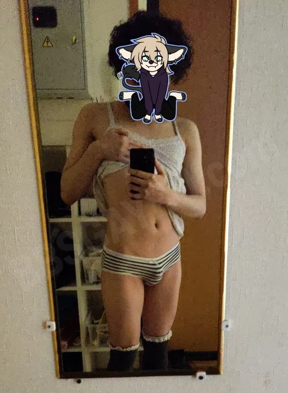 cheesus4466329