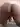 Cat3