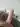 Fatalist1