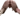 jonyBO