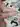 Grisha462627
