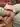 Harengerd4419