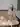 Cocy_xyu