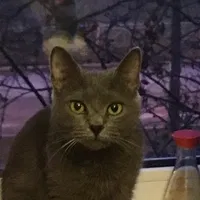 leonpol